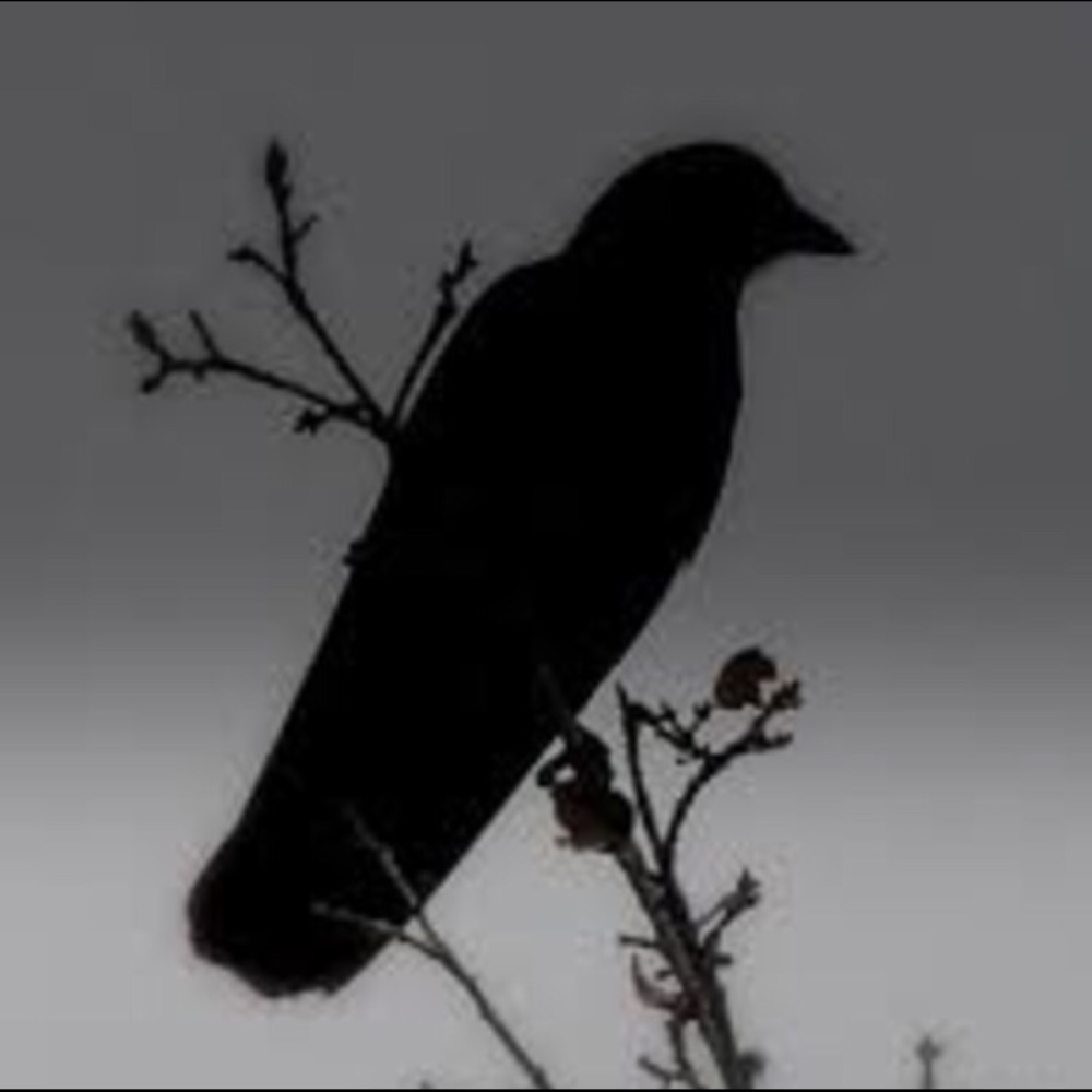 Meet your Posher, L.